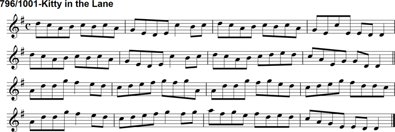 Reel: Kitty in the Lane