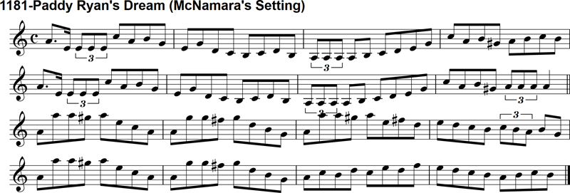 Reel: Paddy Ryan's Dream (McNamara)