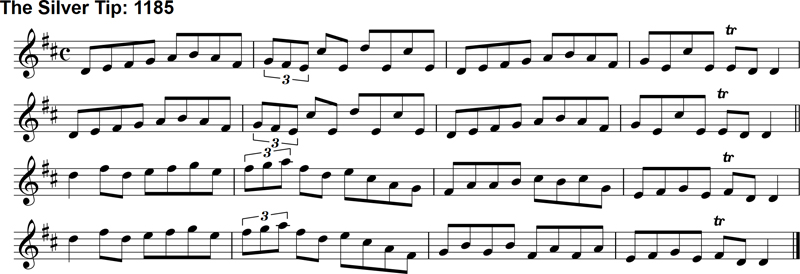 Reel: The Silver Tip