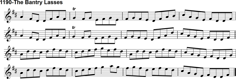 Reel: The Bantry Lasses