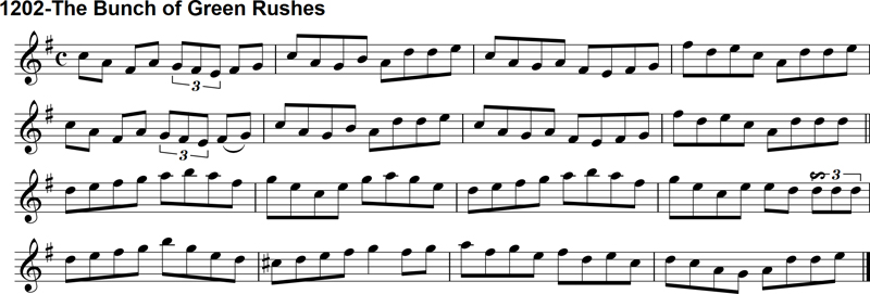 Reel: The Bunch of Green Rushes