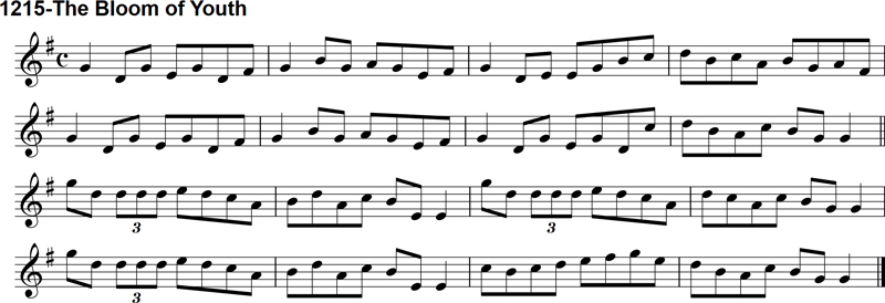 Reel: The Bloom of Youth