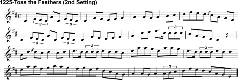 Reel: Toss the Feathers - 2nd Setting