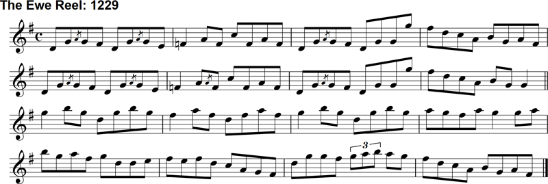Reel: The Ewe Reel