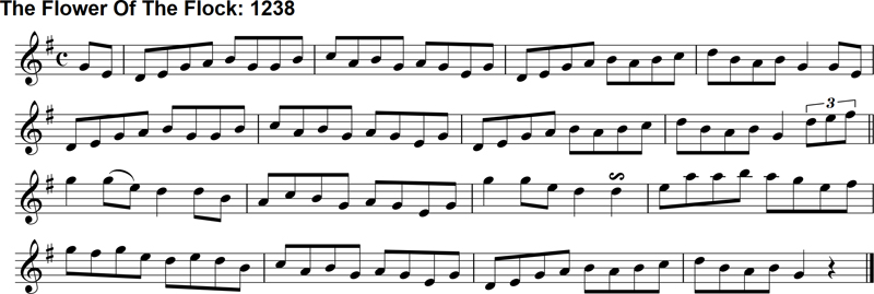 Reel: The Flower of the Flock