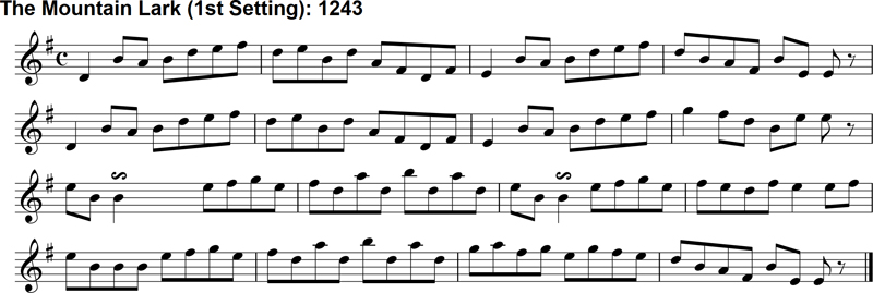 Reel: The Mountain Lark - 1st Setting