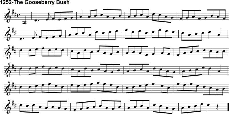 Reel: The Gooseberry Bush