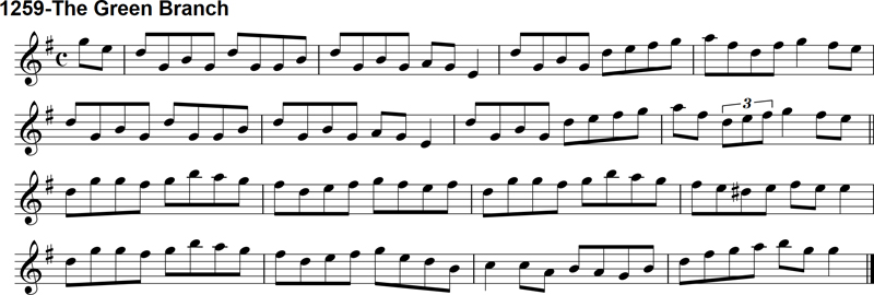 Reel: The Green Branch