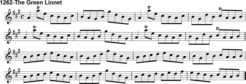 Reel: The Green Linnet