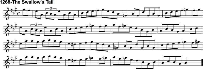 Reel: The Swallow's Tail