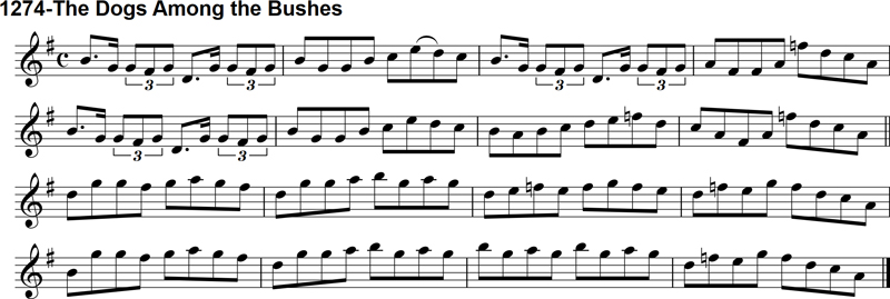 Reel: The Dogs Among the Bushes