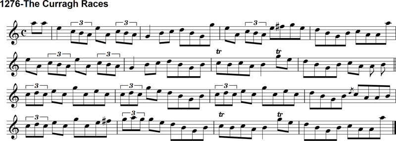 Reel: The Curragh Races