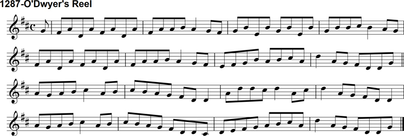 Reel: O'Dwyer's Reel