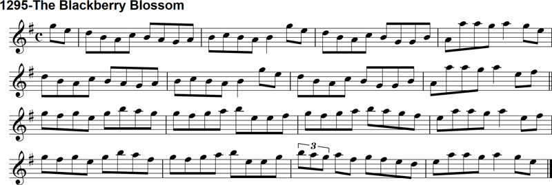 Reel: The Blackberry Blossom