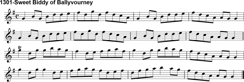 Reel: Sweet Biddy of Ballyvourney