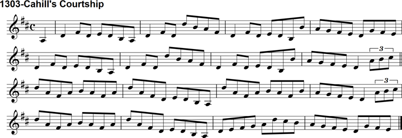 Reel: Cahill's Courtship