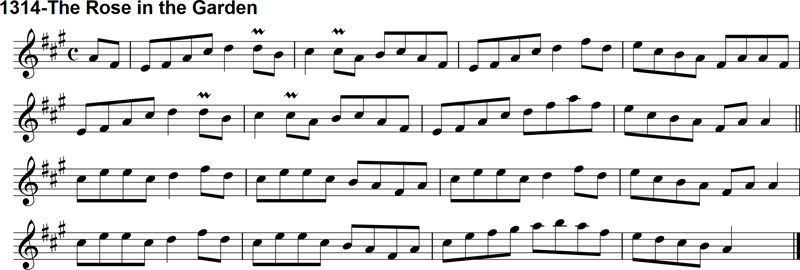 Reel: The Rose in the Garden