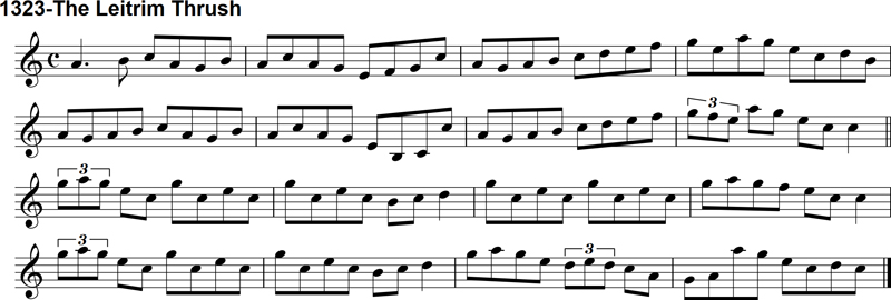 Reel: The Leitrim Thrush