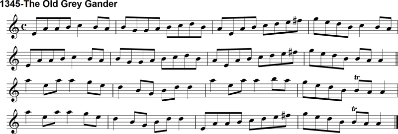 Reel: The Old Grey Gander