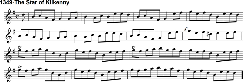 Reel: The Star of Kilkenny