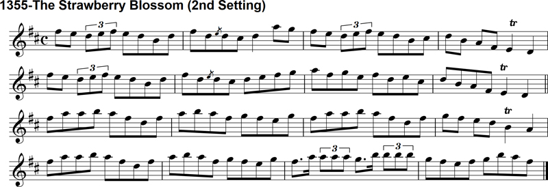 Reel: The Strawberry Blossom - 2nd Setting
