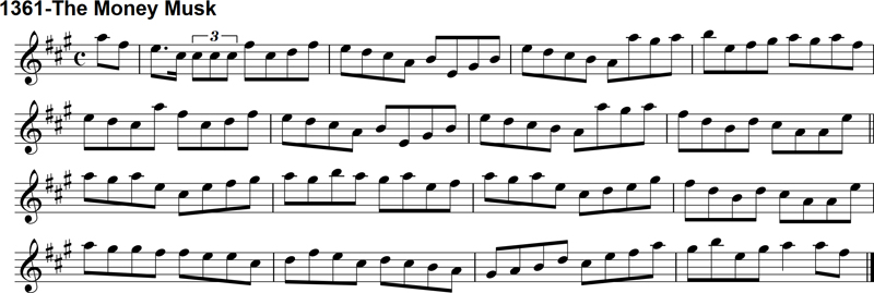 Reel: The Money Musk