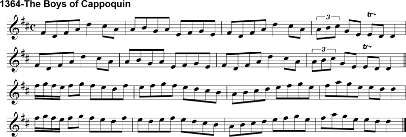 Reel: The Boys of Cappoquin