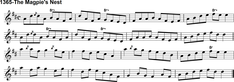 Reel: The Magpie's Nest