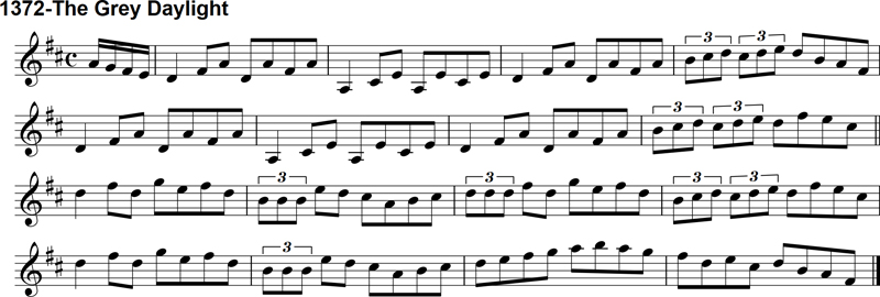 Reel: The Grey Daylight