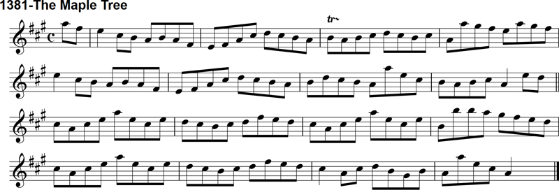 Reel: The Maple Tree