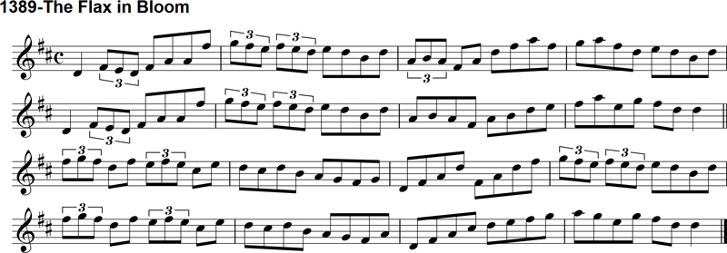 Reel: The Flax in Bloom