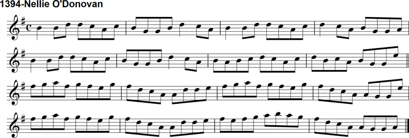 Reel: Nellie O'Donovan