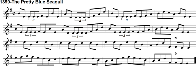 Reel: The Pretty Blue Seagull