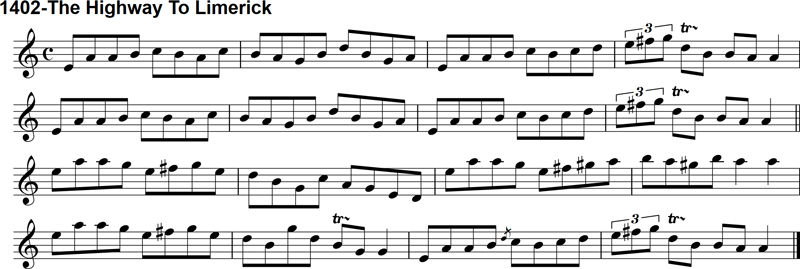 Reel: The Highway to Limerick