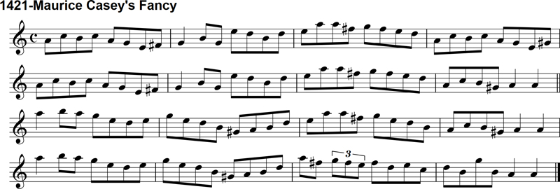 Reel: Maurice Casey's Fancy