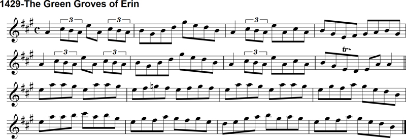 Reel: The Green Groves of Erin