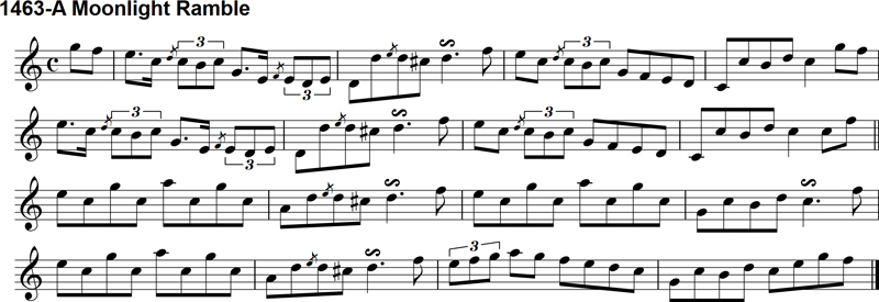 Reel: A Moonlight Ramble