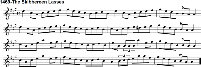 Reel: The Skibbereen Lasses