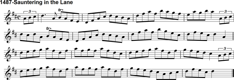 Reel: Sauntering in the Lane