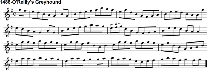 Reel: O'Reilly's Greyhound