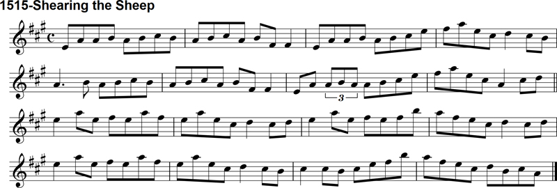 Reel: Shearing the Sheep