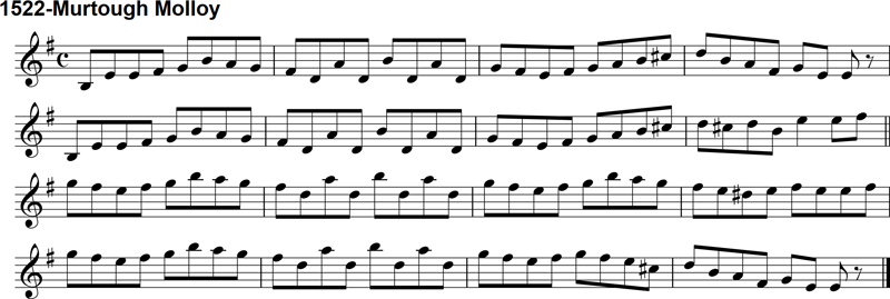 Reel: Murtough Molloy