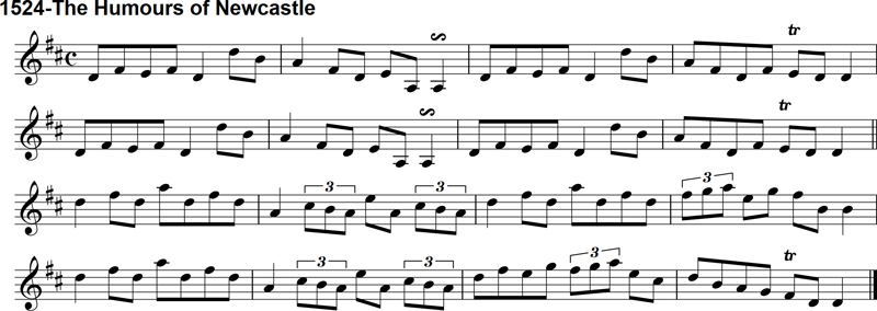 Reel: The Humors of Newcastle