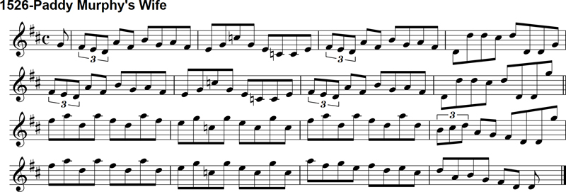 Reel: Paddy Murphy's Wife