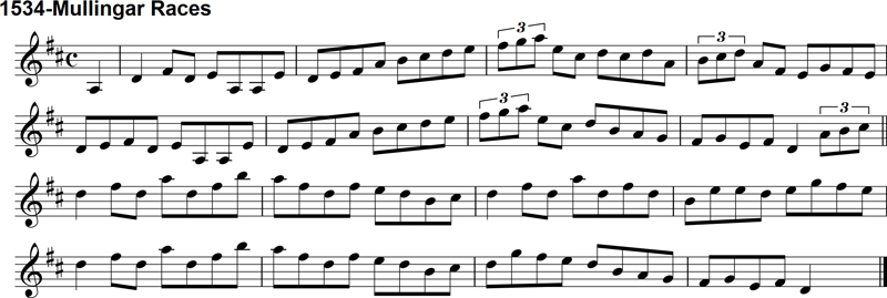 Reel: The Mullingar Races