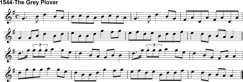 Reel: The Grey Plover