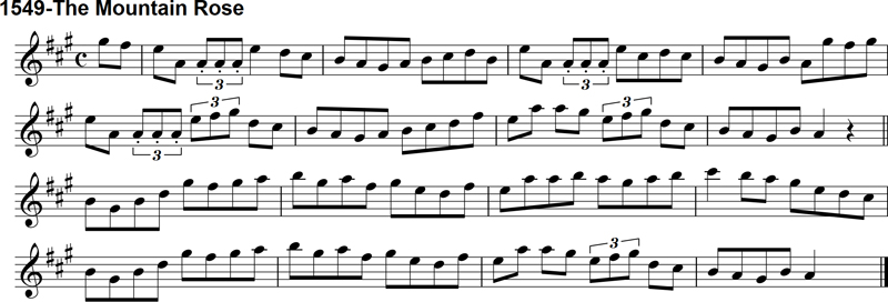 Reel: The Mountain Rose